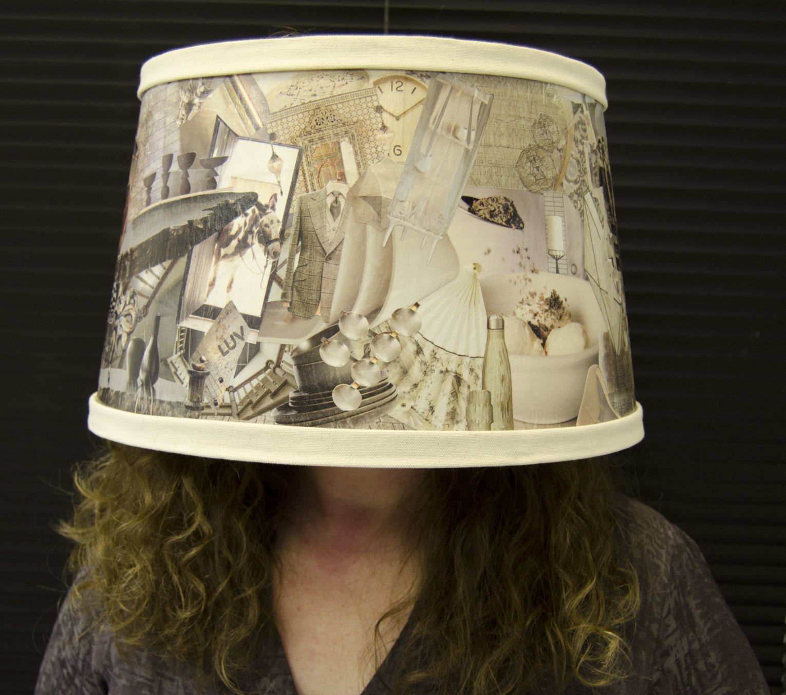 Andrea Ignacio Lampshade 1